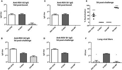 Determining Immune and miRNA Biomarkers Related to Respiratory Syncytial Virus (RSV) Vaccine Types